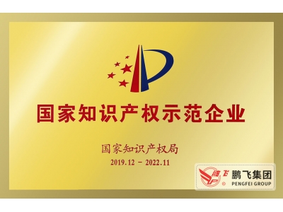 （2019年12月）國家知識產權示范企業2